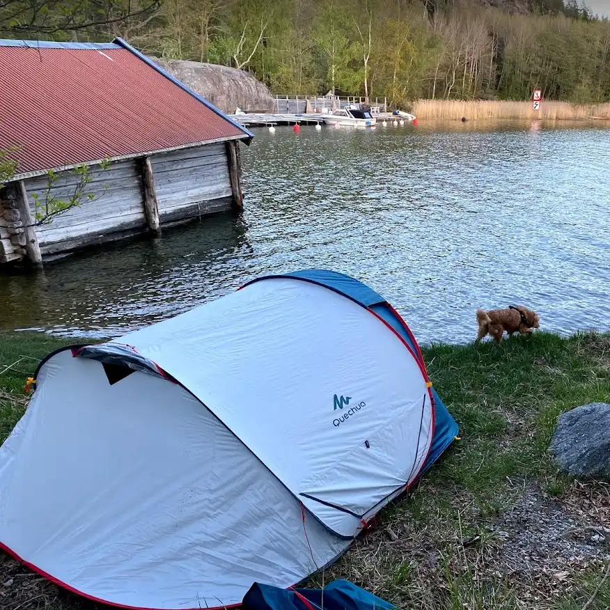 Ett tält vid en sjö, med en hund och ett båthus