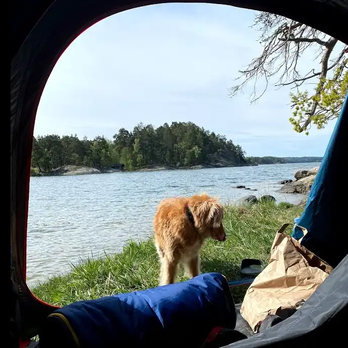 Utsikt från tältet