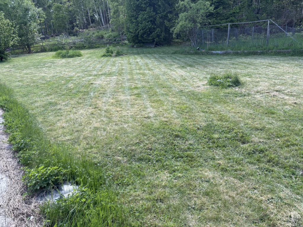 Så här ser det ut när Mammotion Luba 2 klippt gräsmattan systematiskt.